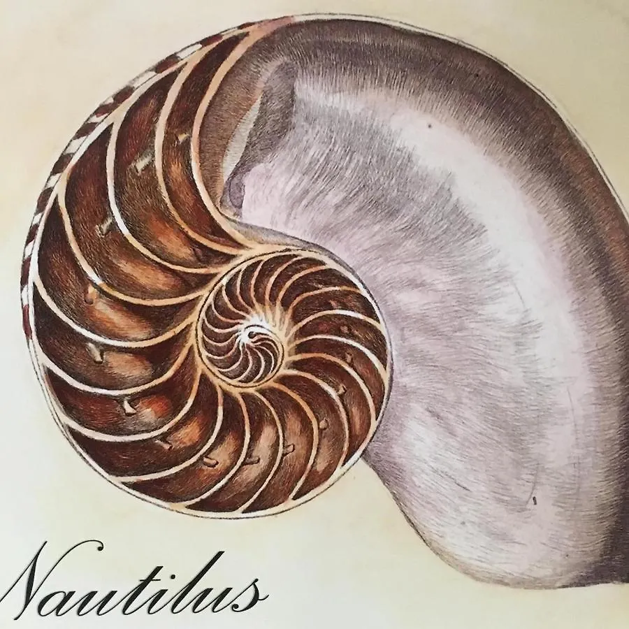 Casa Vacanze Nautilus Villa Terrasini Holiday home